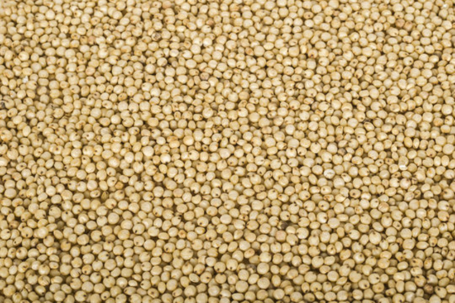 Rice and grains ready for export
