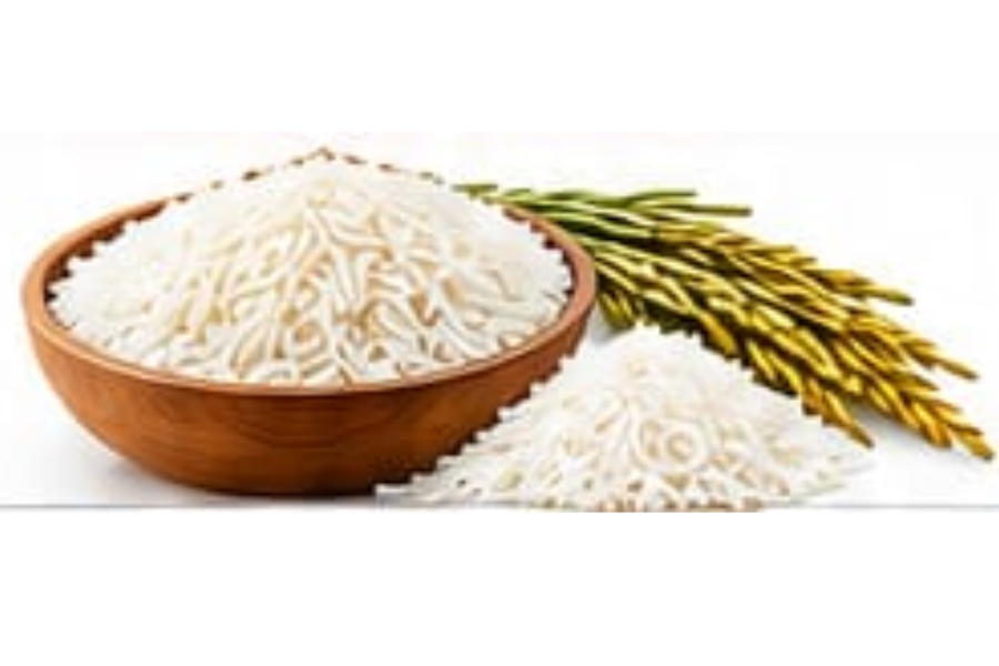 Rice and grains ready for export
