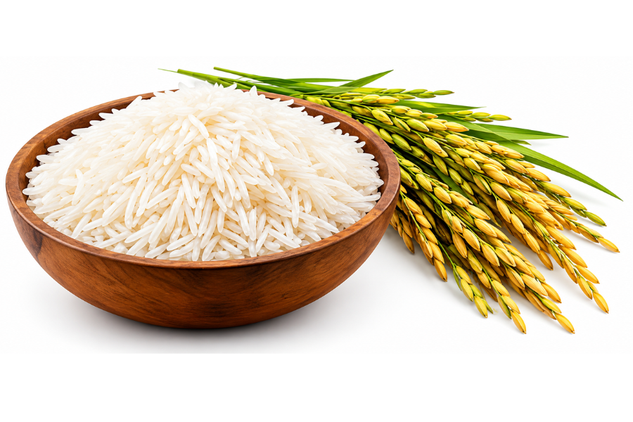 Rice and grains ready for export